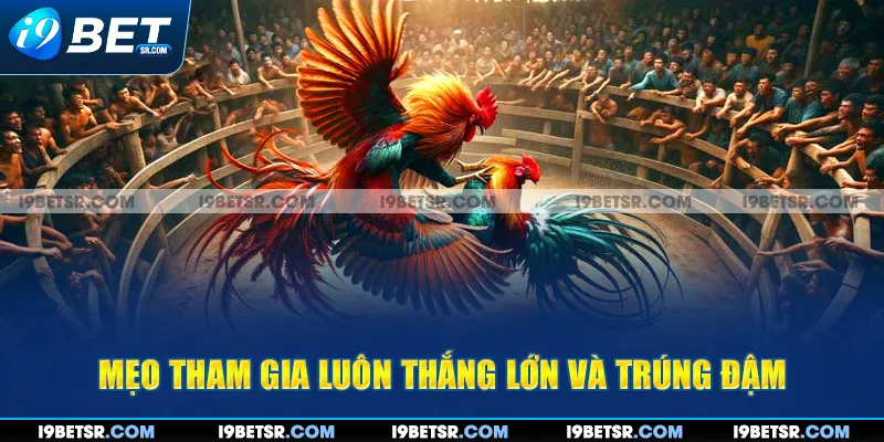 Mẹo tham gia luôn thắng lớn và trúng đậm