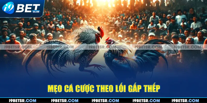 Mẹo cá cược theo lối gấp thếp