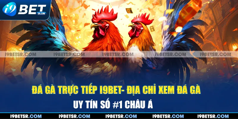 Đá Gà Trực Tiếp I9bet- Địa Chỉ Xem Đá Gà Uy Tín Số #1 Châu Á