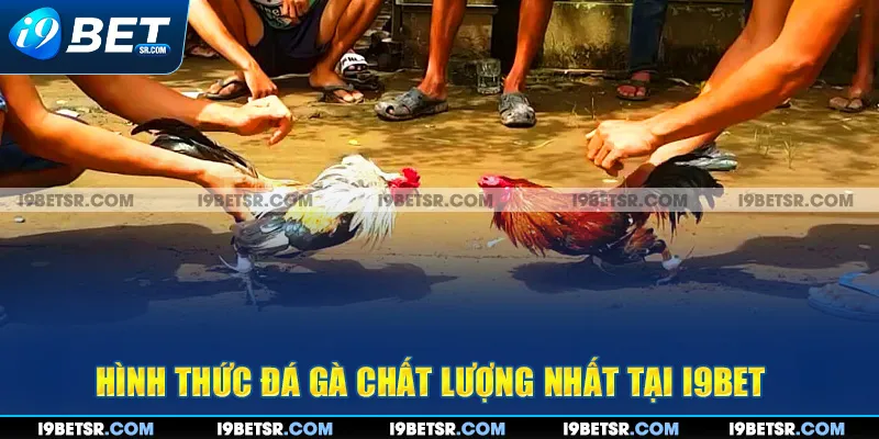 Hình thức đá gà chất lượng nhất tại i9bet